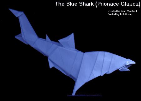 Blue&nbsp;Shark